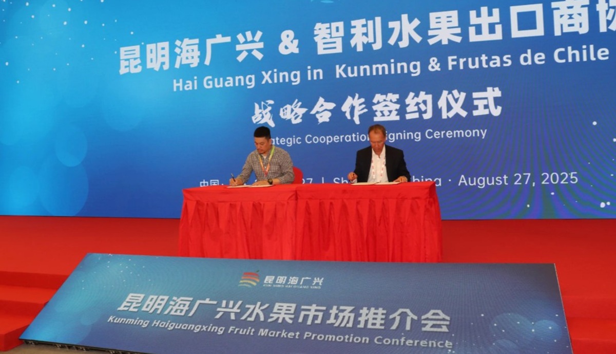 Frutas de Chile firma acuerdo estratégico con mercado mayorista de Kunming para fortalecer presencia en China y el sudeste asiático