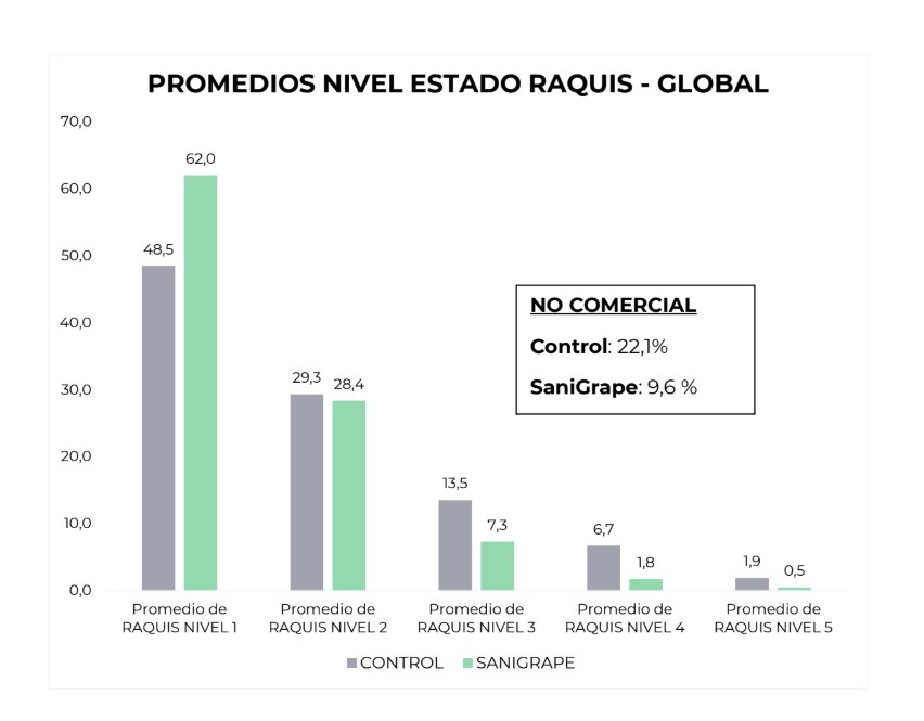 Sanifruit presentará una solución innovadora única en el mercado de la uva
