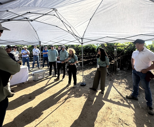 Celebrando la innovación en uva de mesa Sunridge Nurseries participa en los Field Days de mejoramiento en California