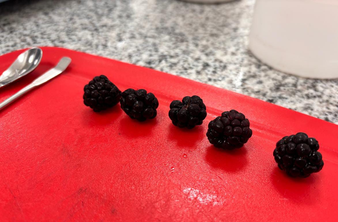 Investigación en Chile analiza el potencial de los berries contra el cáncer de colon