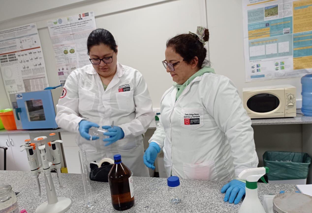 Investigación en Chile analiza el potencial de los berries contra el cáncer de colon