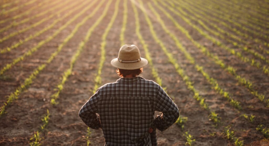 Las claves para mantener los sistemas de riego y evitar fallas en plena temporada agrícola