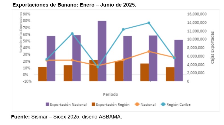 Exportaciones de banano de Colombia y del Caribe repuntan en el primer semestre de 2025