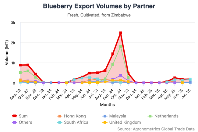 Por primera vez, los arándanos de Zimbabue podrán exportarse al mercado chino 3 Por primera vez, los arándanos de Zimbabue podrán exportarse al mercado chino