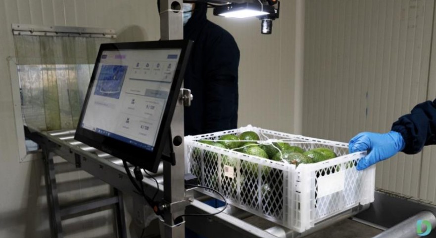 DiMuto e Intel colaboran para impulsar un control de calidad de frutas más inteligente