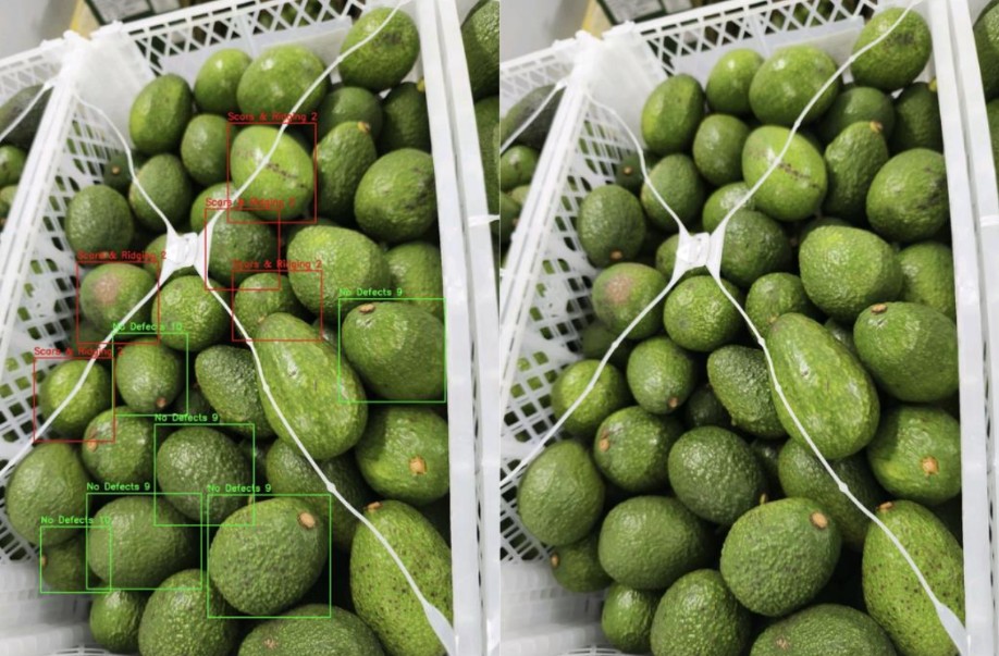 DiMuto e Intel colaboran para impulsar un control de calidad de frutas más inteligente