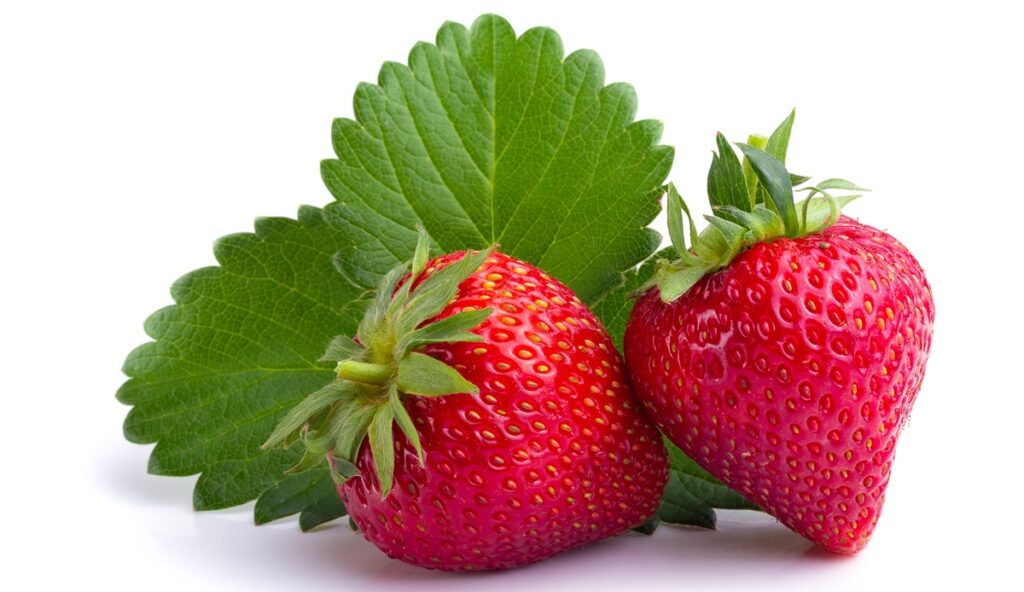 Freshuelva se suma a la Asamblea de Regiones Hortícolas de Europa para reforzar la voz del sector de frutos rojos Freshuelva se suma a la Asamblea de Regiones Hortícolas de Europa para reforzar la voz del sector de frutos rojos