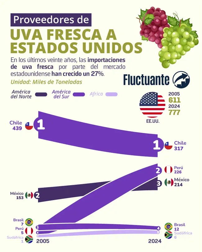 Chile mantiene liderazgo en uva de mesa en Estados Unidos, pero Perú acorta distancia