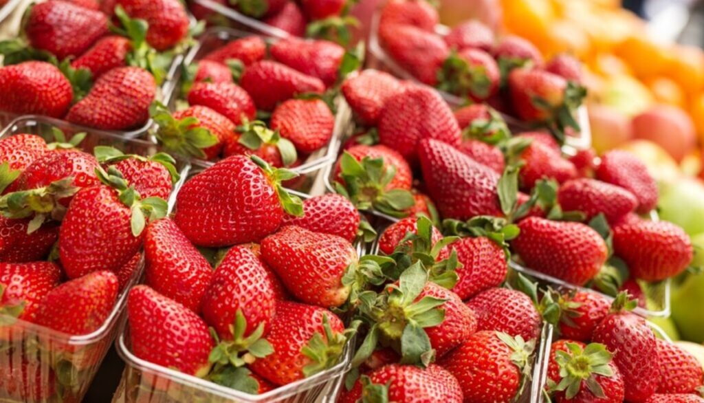 Fresa peruana suma a Brasil como destino de alto potencial Fresa peruana suma a Brasil como destino de alto potencial