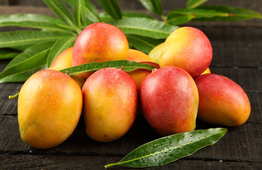 El mango, la “joya tropical” que sigue brillando pese a los desafíos