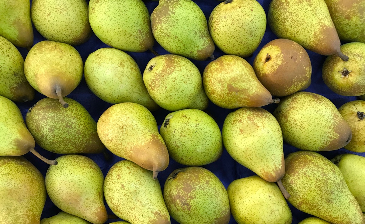 China autoriza la importación de peras frescas de Portugal bajo estrictos controles fitosanitarios