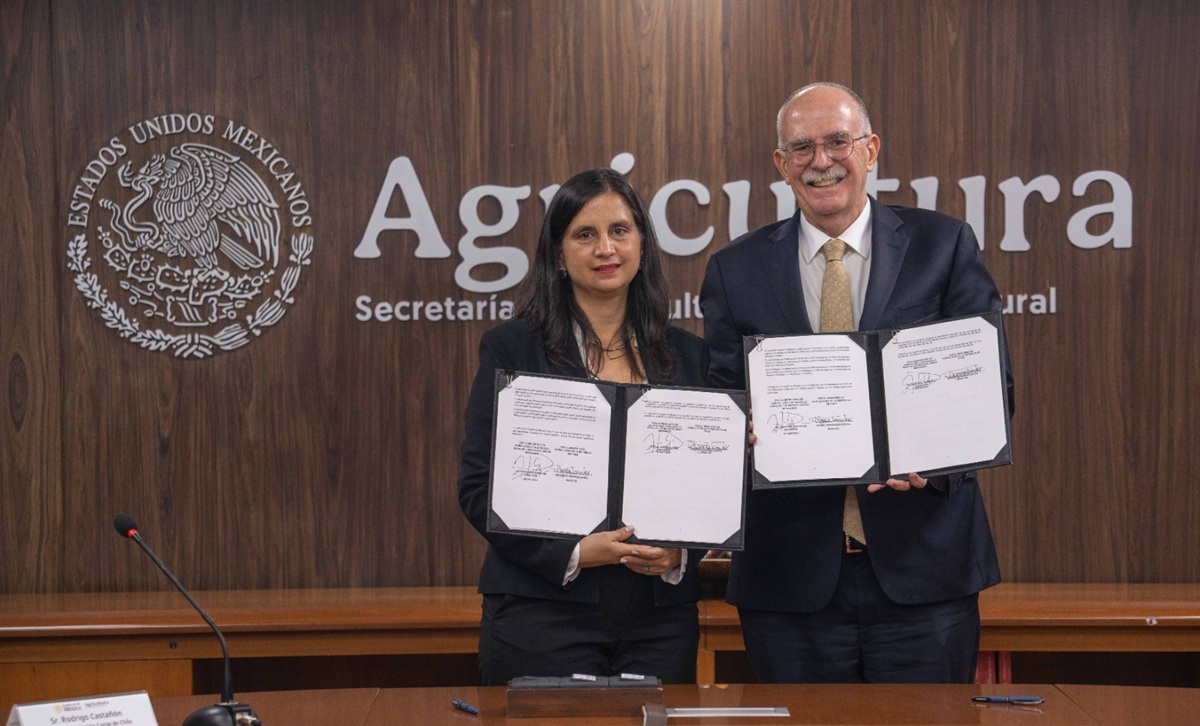 Chile logra apertura del mercado mexicano para sus naranjas 5 Chile logra apertura del mercado mexicano para sus naranjas