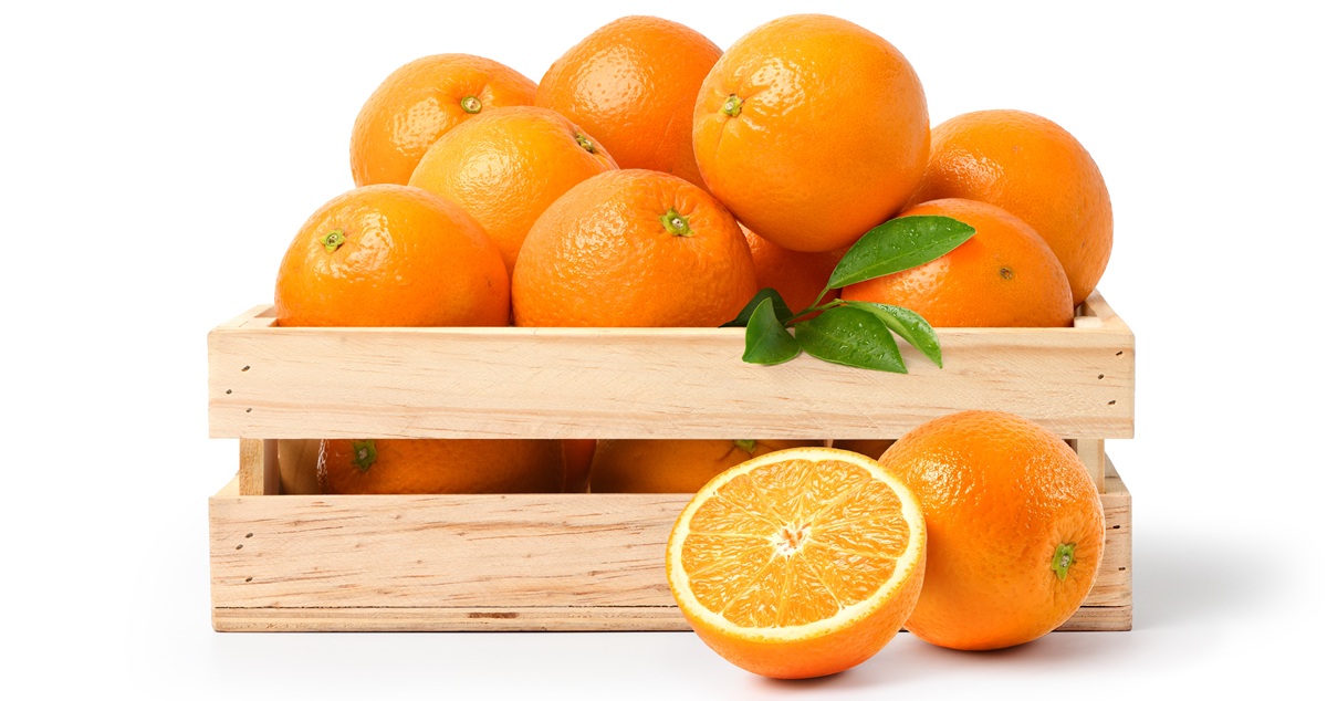 Finalizan las exportaciones de naranjas sudafricanas a Europa con un "espíritu de cooperación continua y creciente"