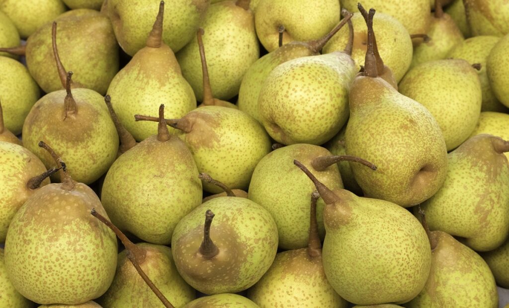 China autoriza la importación de peras frescas de Portugal bajo estrictos controles fitosanitarios