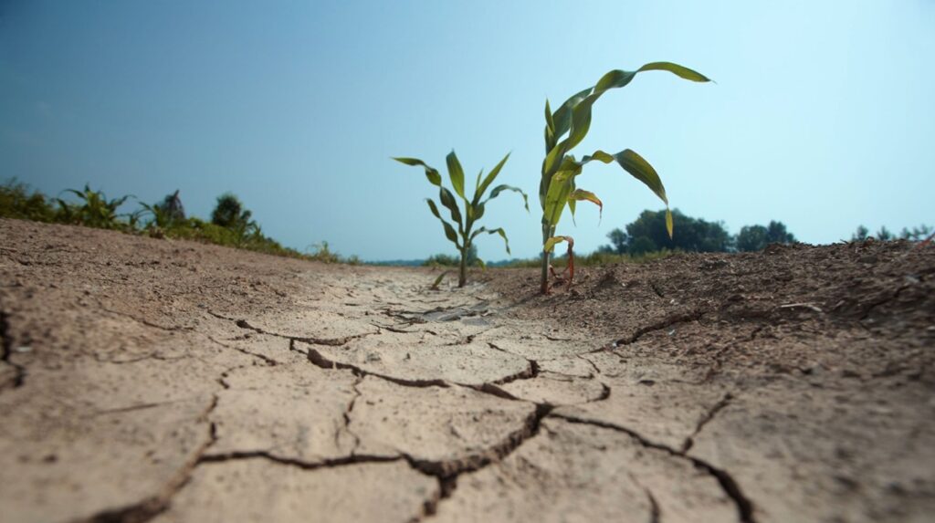 Anticipan una primavera seca y calurosa en Chile