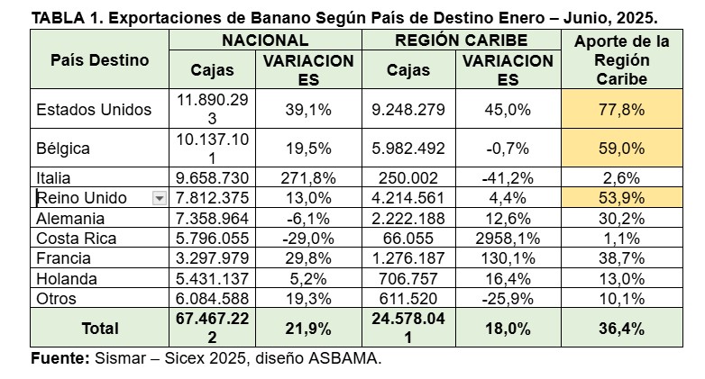 Exportaciones de banano de Colombia y del Caribe repuntan en el primer semestre de 2025