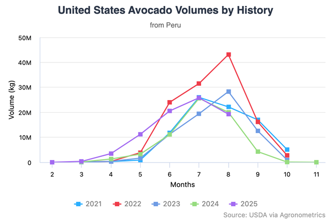 Estados Unidos: importaciones de palta peruana aumentan 75% y los minoristas amplían su abastecimiento