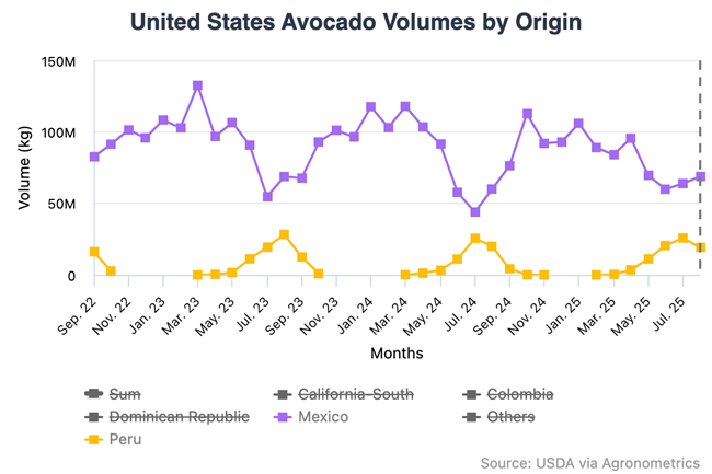 Estados Unidos: importaciones de palta peruana aumentan 75% y los minoristas amplían su abastecimiento