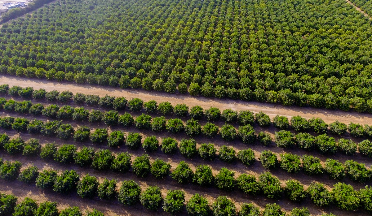 Perú lanza potente marco legal para impulsar el agro y atraer capital nacional e internacional