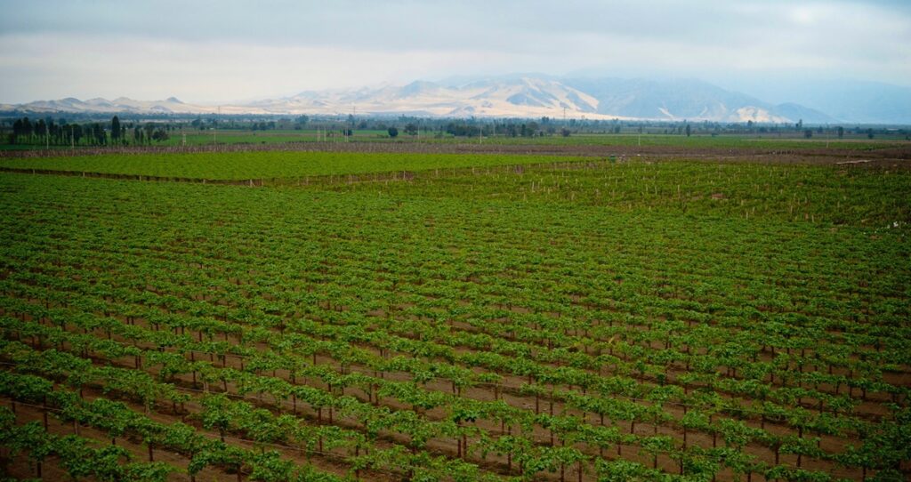 Perú lanza potente marco legal para impulsar el agro y atraer capital nacional e internacional