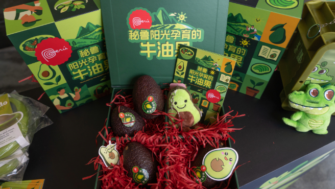 Perú promociona por primera vez su palta en China con campaña histórica
