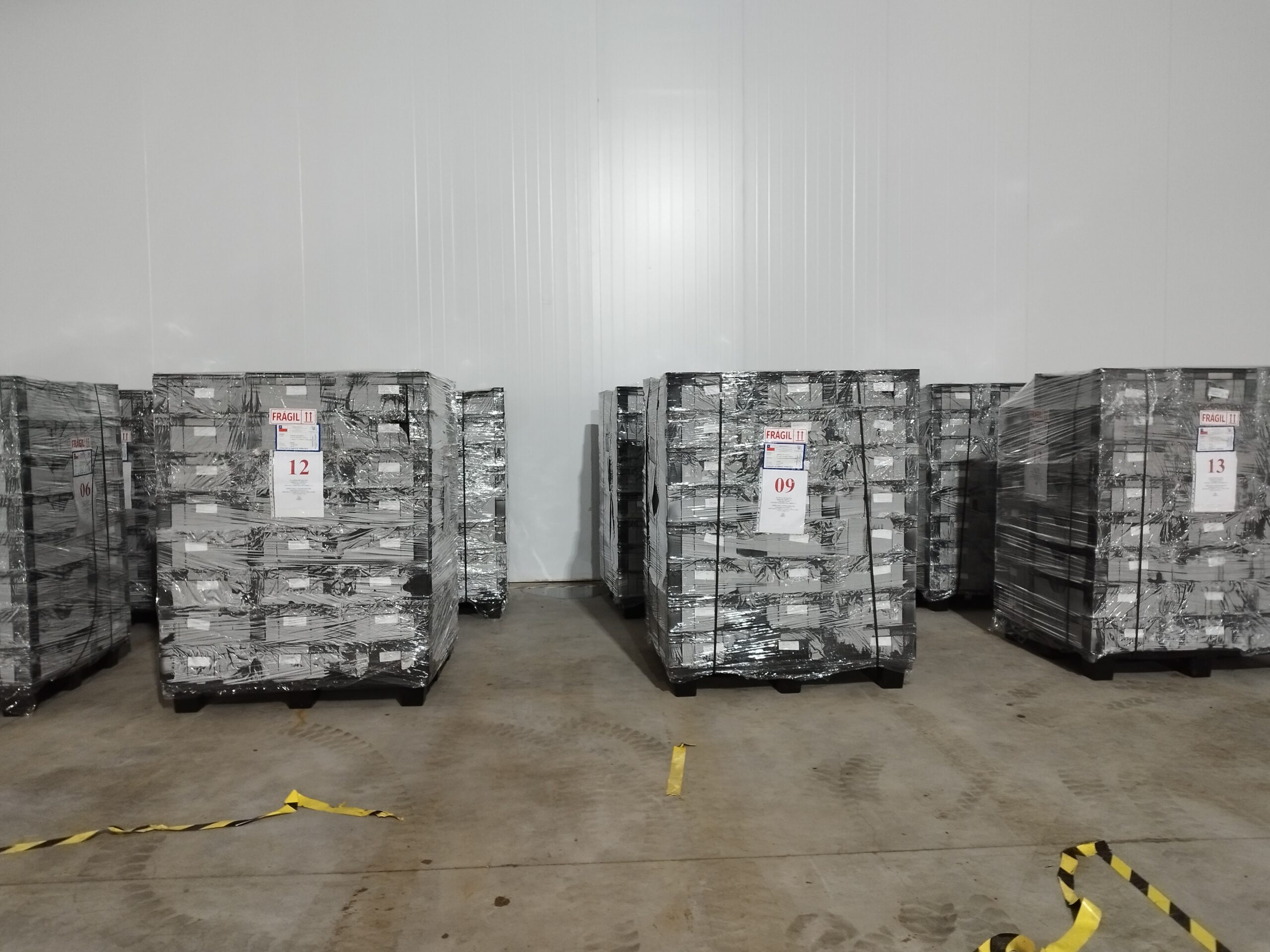 Viveros chilenos retoman protagonismo en el mercado global con plantas frutales de alta calidad