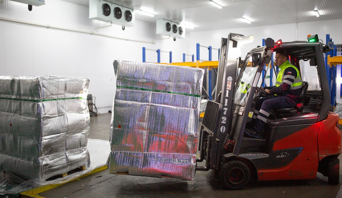 Aerosan se prepara para una nueva temporada de exportación de frutas desde Chile
