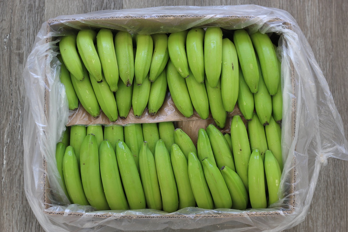 Catalytic Generators: de bananas verdes a su punto perfecto de maduración