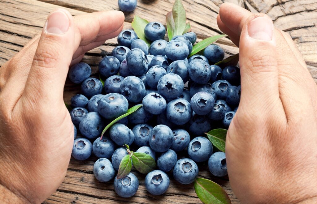 Transición varietal del arándano: la delgada línea entre fruta premium y confusión en el mercado