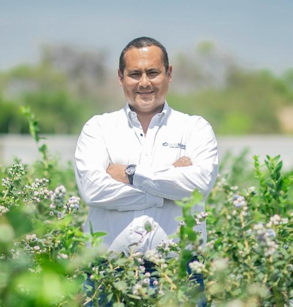 Carlos Gereda La industria peruana del arandano ha entrado en la era del sabor