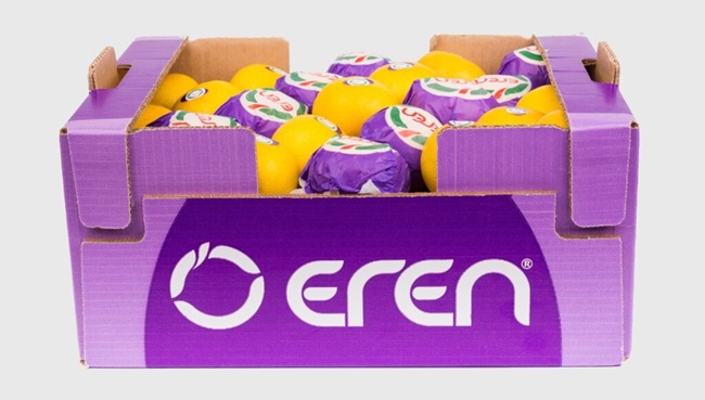 Temporada de mandarinas en Turquía registra altos rendimientos y demanda estable 3 Temporada de mandarinas en Turquía registra altos rendimientos y demanda estable