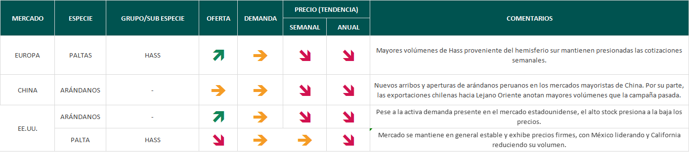 Estado del Mercado, semana 43: Arándanos peruanos arriban a mercados mayoristas de China 3 Estado del mercado semana 43
