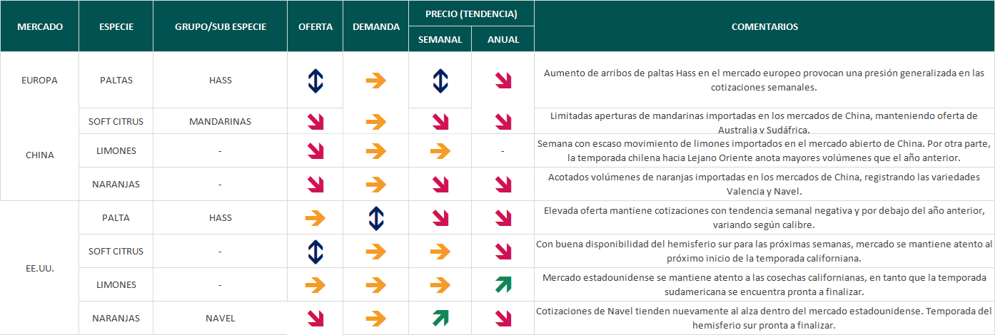 Estado del Mercado, semana 41: Aumentan los arribos de palta Hass en Europa
