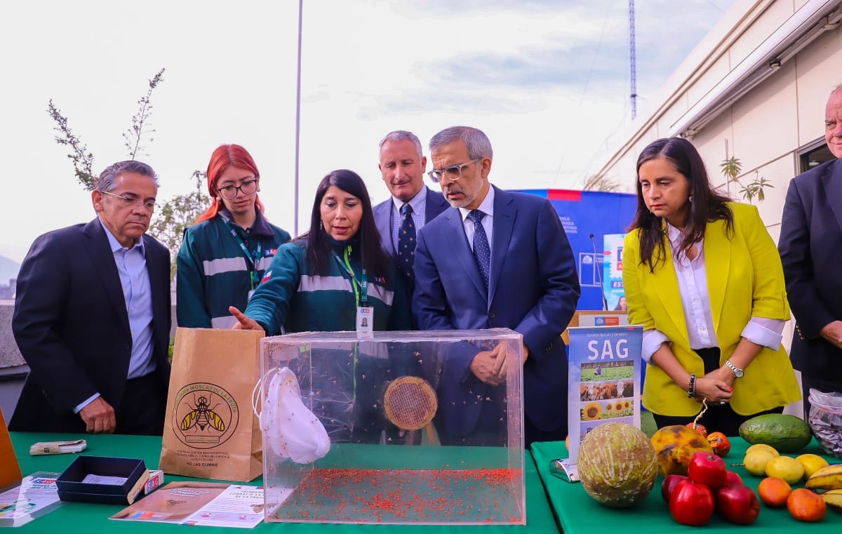 Chile lanza plan integral para proteger su estatus sanitario frente a la mosca de la fruta
