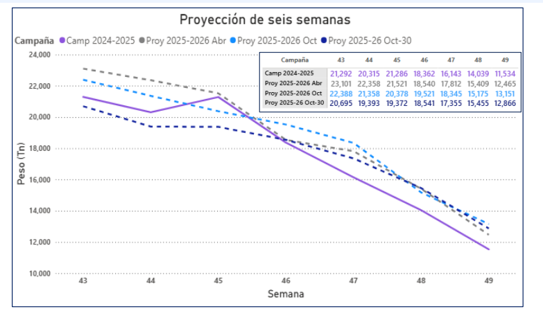 Perú ha exportado más de 215 mil toneladas de arándanos hasta la fecha 3 Proyección Proarándanos