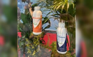 Descifrando la comunicación de las plantas: cómo la tecnología orgánica ...