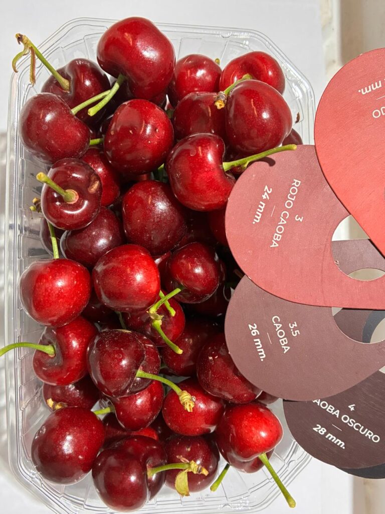 Cerezas argentinas comienzan la temporada con buena calidad y con foco en el mercado interno Cerezas argentinas comienzan la temporada con buena calidad y con foco en el mercado interno