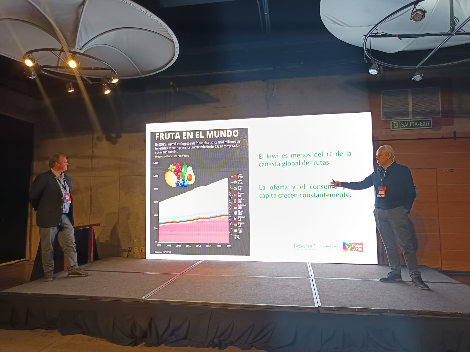 Análisis industria del kiwi chileno
