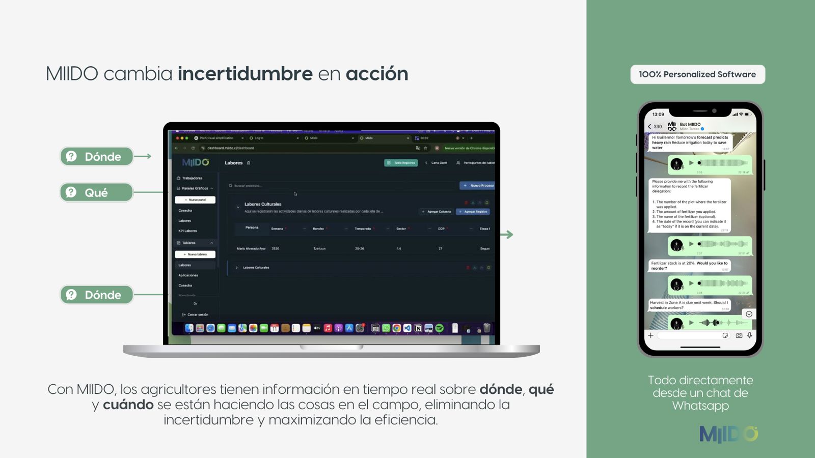 La Inteligencia Artificial fortalece la eficiencia y sustentabilidad de la palta chilena 4 Plataforma MIIDO