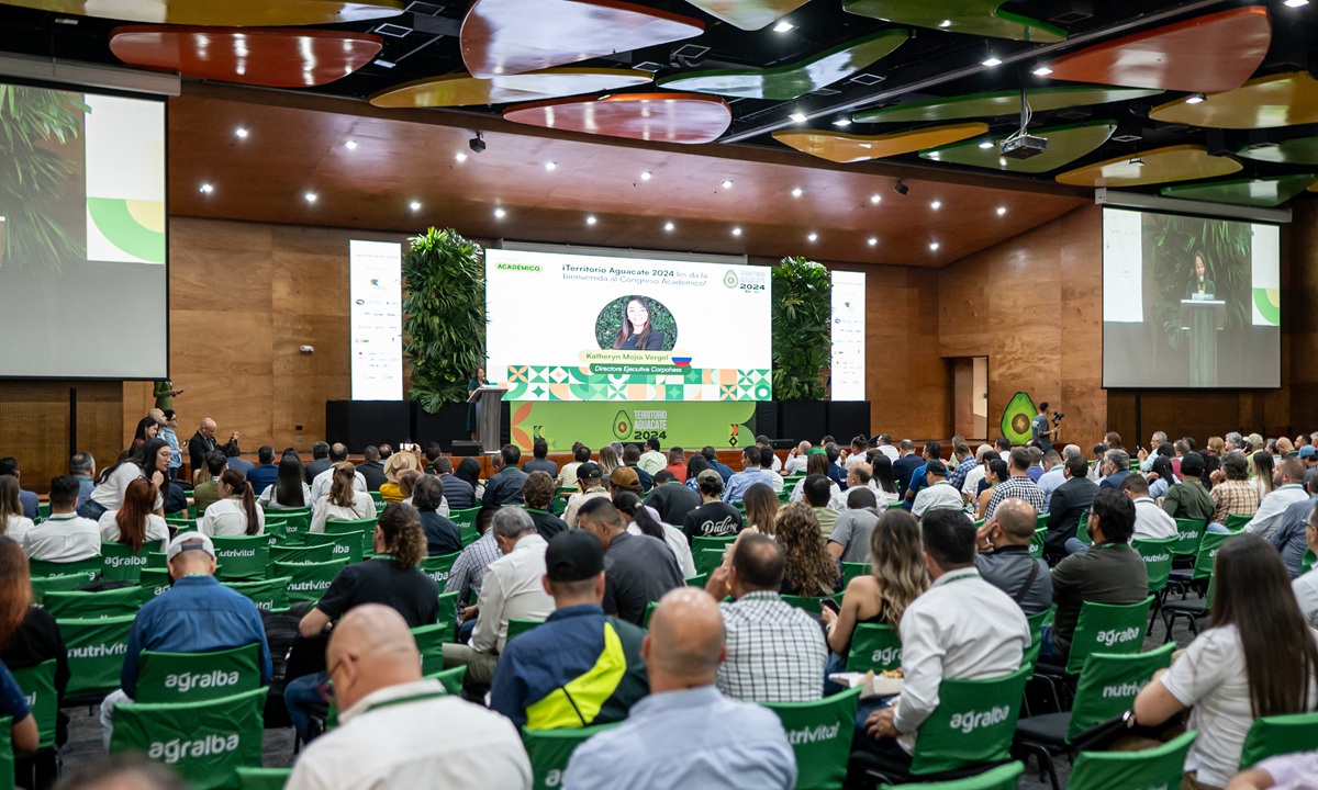 Exportaciones de aguacate Hass en Colombia crecen un 46,6% en lo que va del año