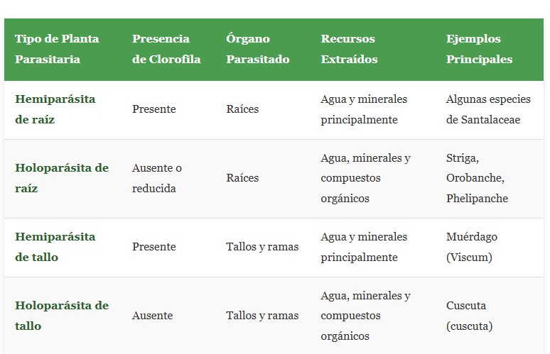 plantas parasitarias