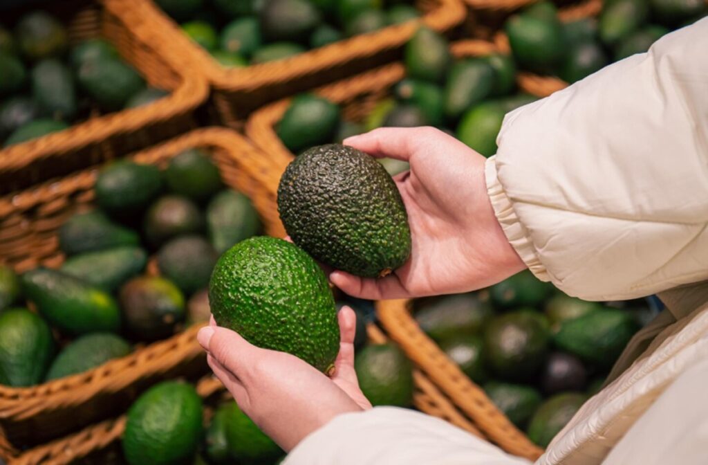 Exportaciones de aguacate Hass en Colombia crecen 46,6% en lo que va del año Exportaciones de aguacate Hass en Colombia crecen 46,6% en lo que va del año