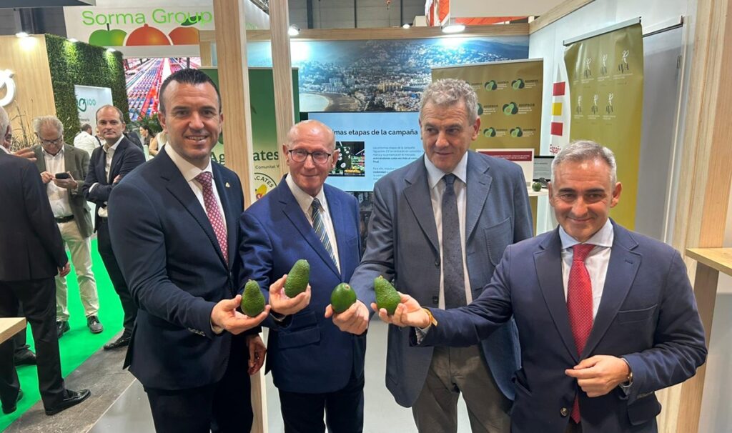 Valencia lanza la marca 'Aguacates CV' para consolidar el liderazgo del aguacate valenciano