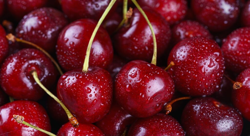 Las cerezas del Noroeste superan un inicio complicado y logran una gran cosecha en 2025 Las cerezas del Noroeste superan un inicio complicado y logran una gran cosecha en 2025