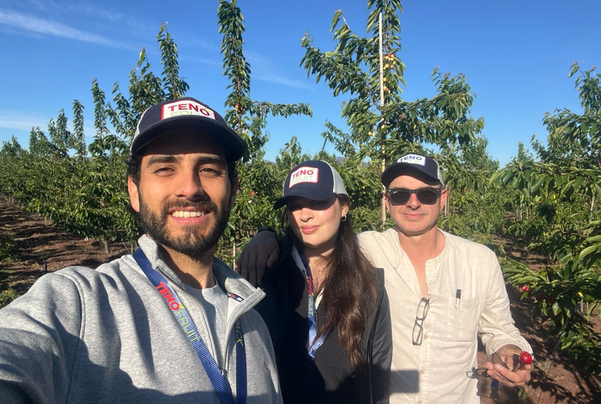 Grupo Teno inicia cosecha de cerezas y habilita otra planta de empaque en la zona norte 3 Grupo Teno inicia cosecha de cerezas y habilita otra planta de empaque en la zona norte