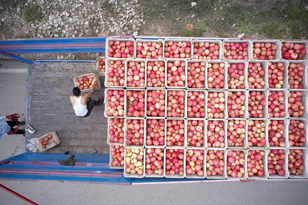 Líderes de la industria lanzan guía con 5 estrategias para la prevención del fraude en productos agrícolas Líderes de la industria lanzan guía con 5 estrategias para la prevención del fraude en productos agrícolas