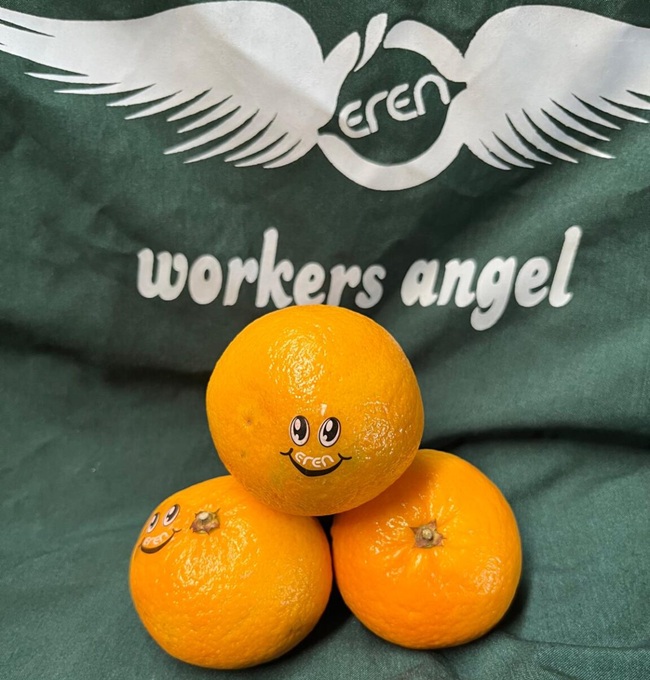 Temporada de mandarinas en Turquía registra altos rendimientos y demanda estable 4 Temporada de mandarinas en Turquía registra altos rendimientos y demanda estable