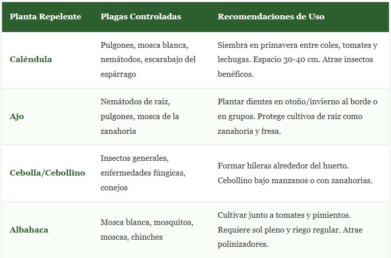 plantas repelentes