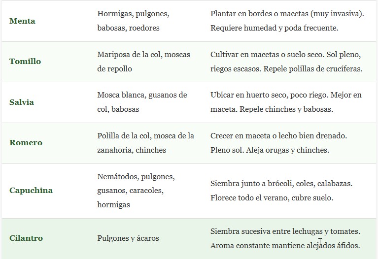 plantas repelentes
