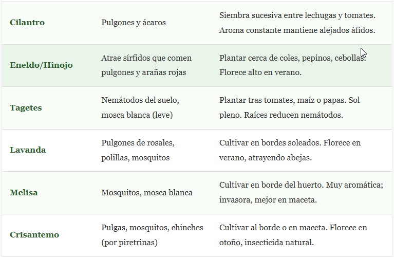 plantas repelentes